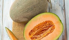 甜瓜爆料炮台视频下载,下载攻略与精彩内容抢先看