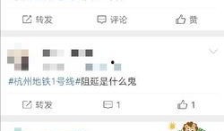 杭州1号线最新爆料消息,揭秘未来交通枢纽新面貌